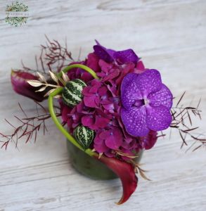 Purple autumn flowerpot with vanda orchids