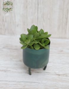 Mini-Metallvase mit Sukkulenten