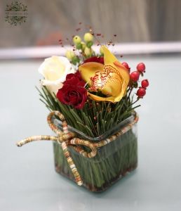 Flowers in pinecones in glass cube