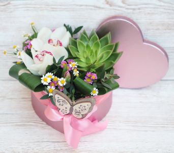 Szív doboz orchideával, kövirózsával, apró virágokkal