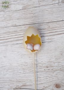 eggs in eggs cream-colored stick