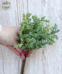 Mű mini növény 16*25cm