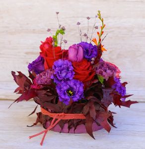 Fall flower box hugged by purple autumn leaves, with flaming flowers (17 stems)
