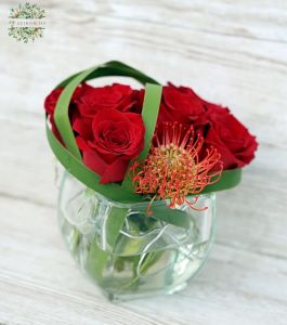 Modern glass cube with 7 red roses and leucospermum