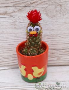 kleiner Kaktus mit Huhn-Dekoration in Topf in verchiedenen Farben