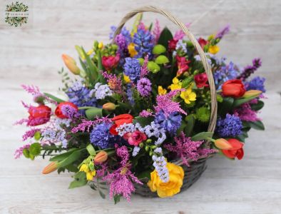 Spring basket with 50 flowers