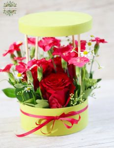 Small box with 3 red roses, solomio dianthusses, chamomiles
