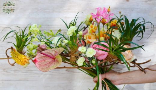 Csokor élő növény kokodamákkal a virágok között (12 szál + növények)