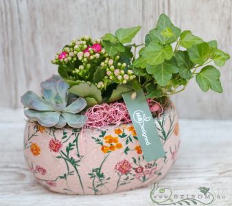 small plants in an elongated, flower-patterned pot