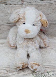 plush cute dog (26cm)