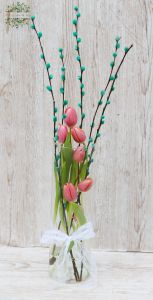 Tulips in glass cylinder with catken (7 stems)