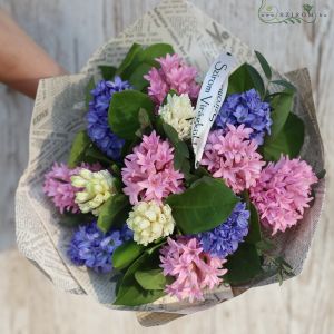 13 stems of hyacinths in a bouquet