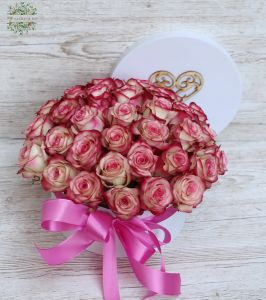 40 bicolor roses in box