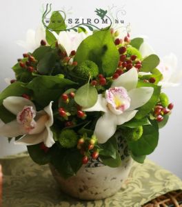 7 fehér orchidea, zöld krizi hypericummal, kerámiában (25cm)