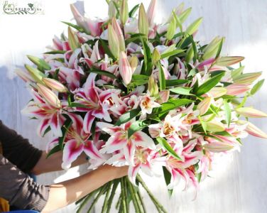 giant lilie bouquet (25 stems)