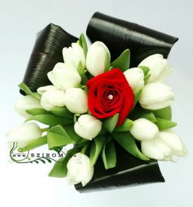 15 weiße Tulpen mit roten Rose
