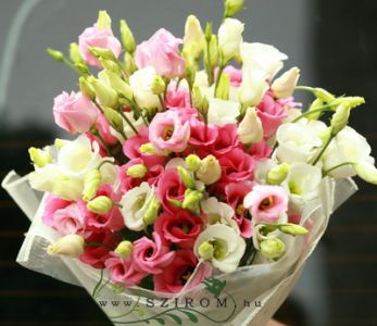 20 stems of lisianthus in a round bouquet