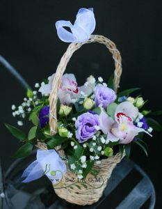 orchid basket with lisianthus (17 cm, 7 stems)