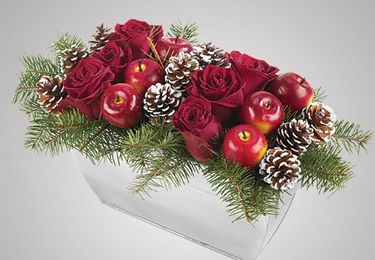 Winter Anordnung mit Äpfeln und Rosen (35cm)