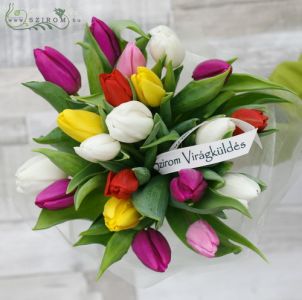 20 gemischte Tulpen Strauss