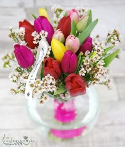 15 Tulpen mit kleinen Blüten, in Glaskugel