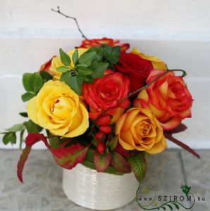 9 color roses in a ceramic pot