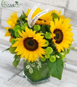 Kubus mit 6 Sonnenblumen und grünen Pompons