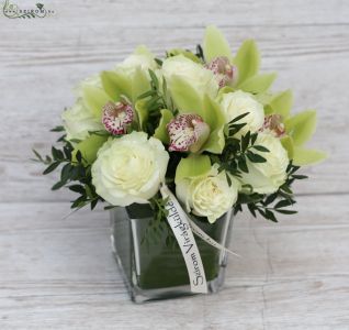 Grüne Orchidee mit weißen Rosen in Glaskubus (15 Stämme)
