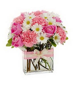 pink cube (carnations, roses, daisies, 14 stems)
