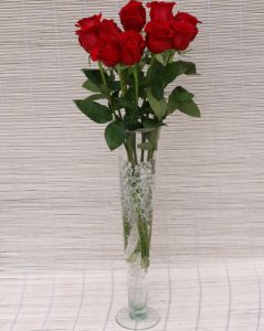 11 red roses in glass vase with aqua chrystals 