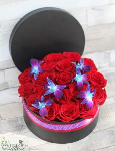 vörös rózsa doboz kék dendrobium orchideával (25 rózsás box)