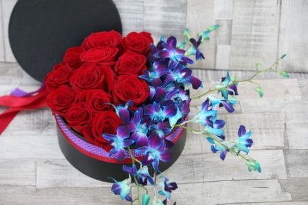 red rose box with blue dendrobium orchids (19 + 5 stems)