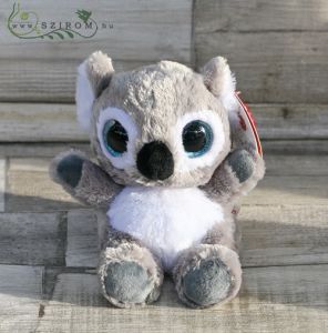 Plush coala with big eyes (15 cm )