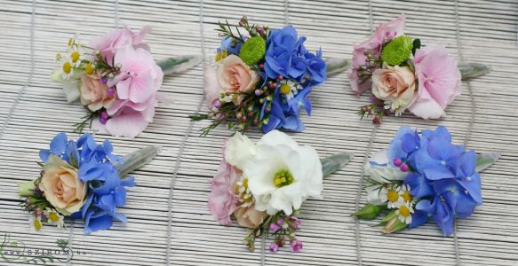 Vőlegény kitűző hortenziából (hortenzia, wax, rózsa, liziantusz, kamilla, kék, fehér, rózsaszín)