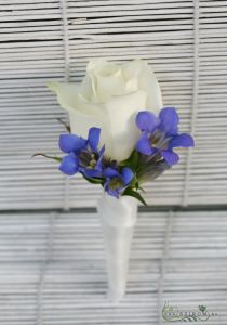 Boutonniere of rose and gentiana (white, blue)