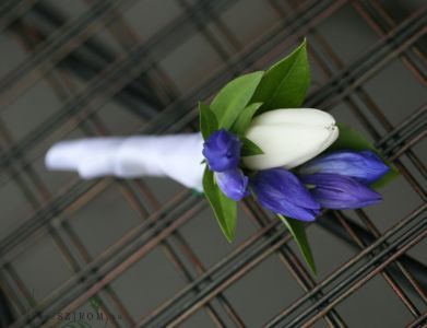 Boutonniere of tulip and gentiana (blue, white)