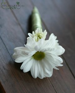Boutonniere of daisy (white)