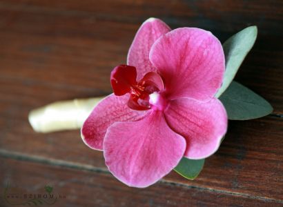 Boutonniere of phalaenopsis (pink)