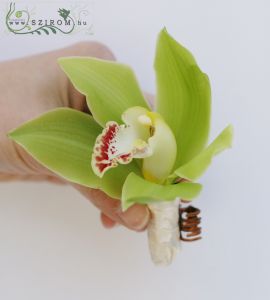 hajdísz orchideából (zöld, krém)