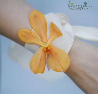 wrist corsage made of orchid (orange)