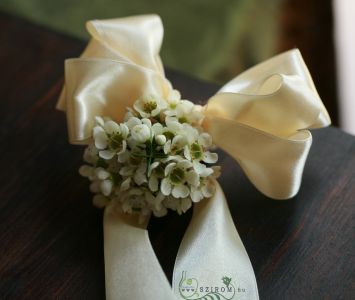 wrist corsage made of waxflower (white)