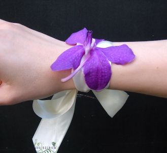 wrist corsage made of orchid (purple)