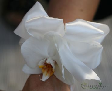 wrist corsage made of orchid (white)