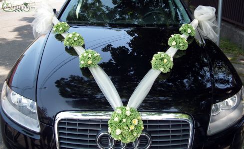 car flower arrangement on ribbon with sedum, only in summer (white, cream)