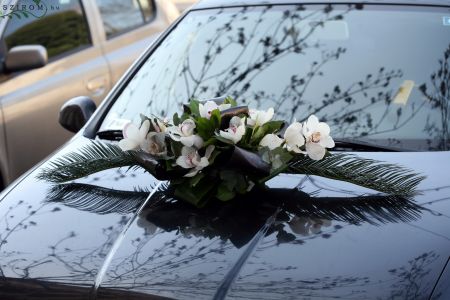 oval car flower arrangement with orchids (white)