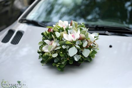 round car flower arrangement with orchids (white)