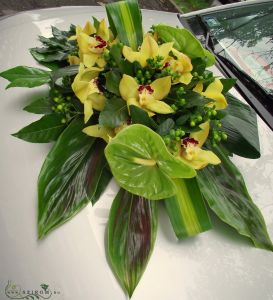 oval car flower arrangement with orchids and anthuriums (green, yellow)