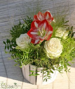 Centerpiece for round table, with amaryllis and rose (white, red), wedding