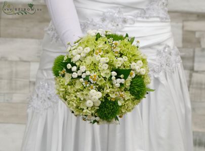 Bridal bouquet with hydrangeas, camomilles (carnation, bouvard, matricaria, white, green)