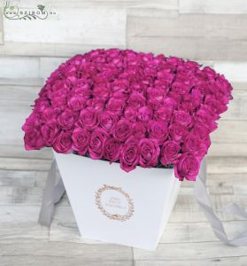 80 purple roses in a box